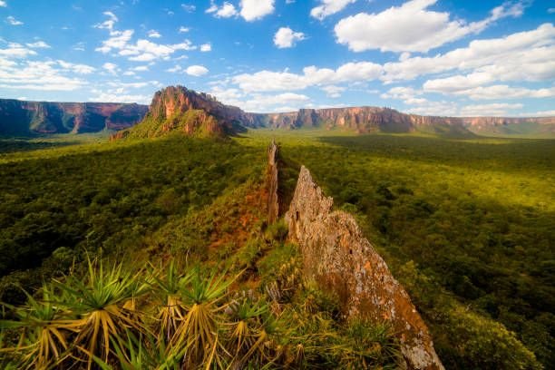 Chapada dos Guimarães (12)