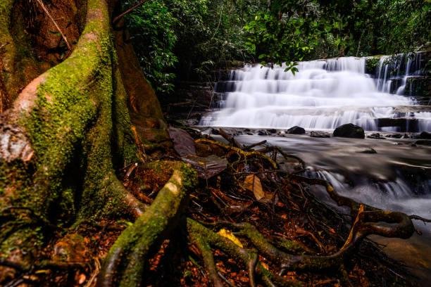 Chapada dos Guimarães (14)