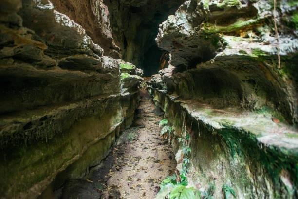 Chapada dos Guimarães (26)