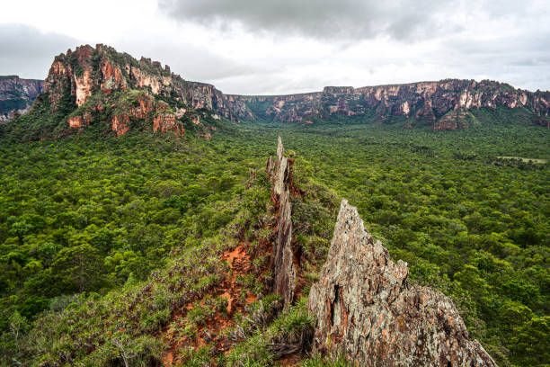 Chapada dos Guimarães (5)