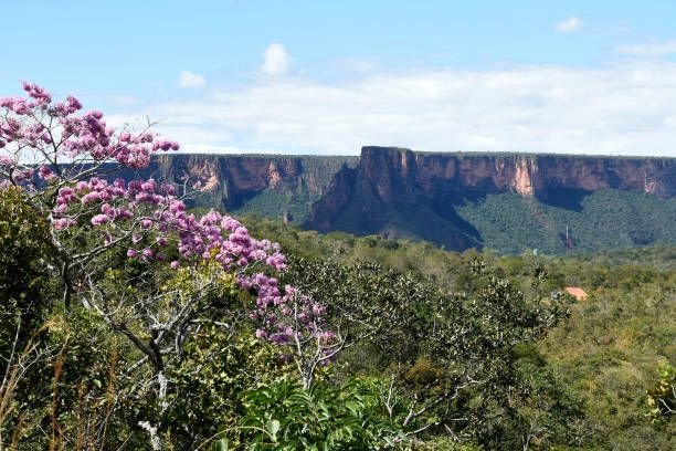 Chapada dos Guimarães (6)