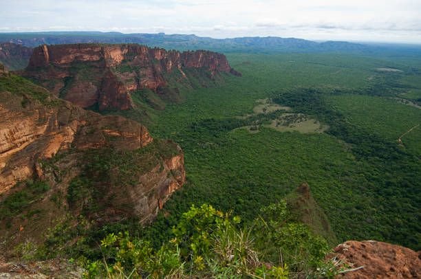 Chapada dos Guimarães (8)